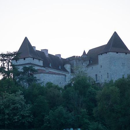 Chateau De Goudourville Villa Exterior foto