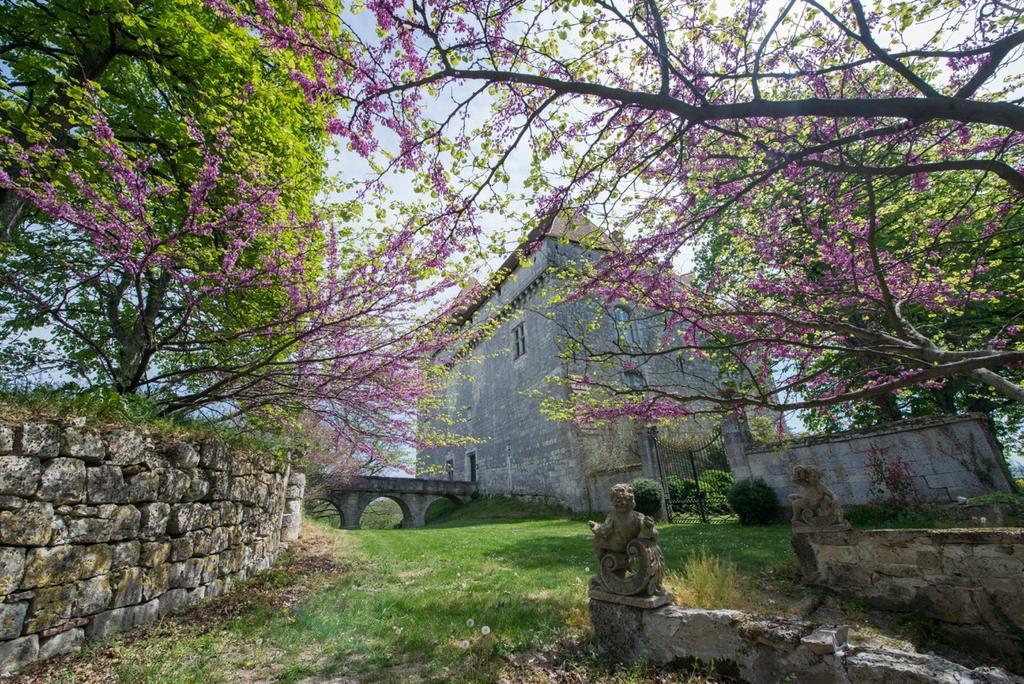 Chateau De Goudourville Villa Exterior foto
