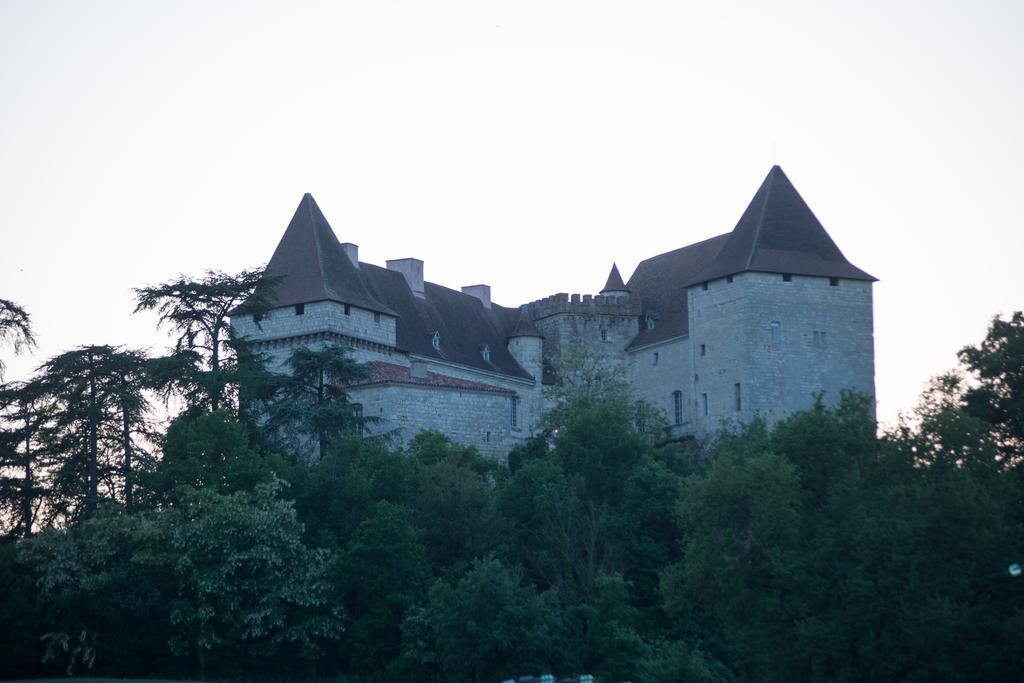 Chateau De Goudourville Villa Exterior foto