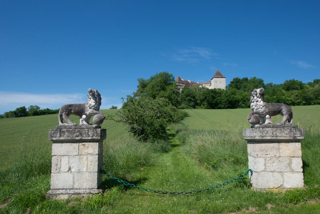 Chateau De Goudourville Villa Exterior foto